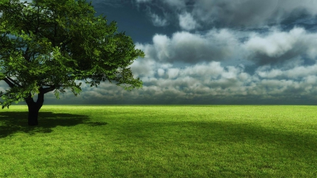 cloudy afternoon - cloud, field, sky, tree