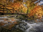 Waterfall in Autumn Forest