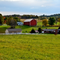 Wide Open Country