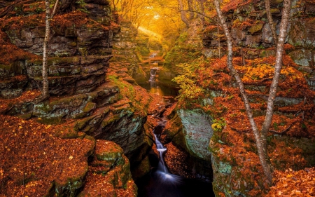 Autumn Forest - autumn, trees, stream, water, waterfalls, rocks, foliage, fall, forest