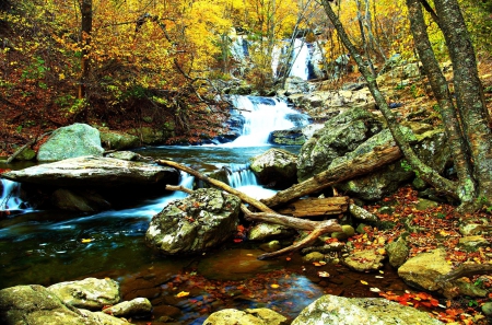 Autumn Creek in Virginia - fall, trees, water, leaves, stones, colors