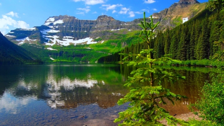 Reflections of green forest - forest, pretty, rocks, landscape, beautiful, shore, lake, sky, reflection, lovely, trees, nature, mountain, green