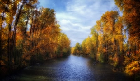 Cowichan River - fall, water, canada, cowichan river, british columbia, clouds, river, trees, autumn, cowichan