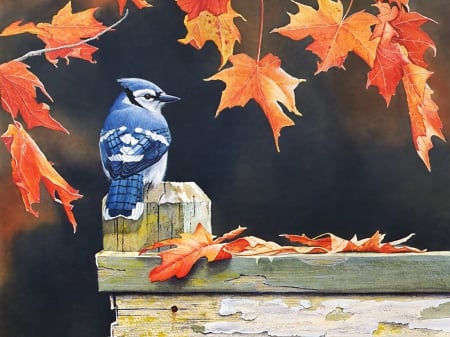 Blue Jay bird in autumn Art Print