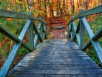 Bridge in Autumn Forest