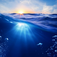 Sea