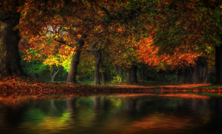 Autumn - forest, fall, autumn splendor, water, walk, leaves, lake, pond, river, trees, nature, colors, park, autumn, colorful