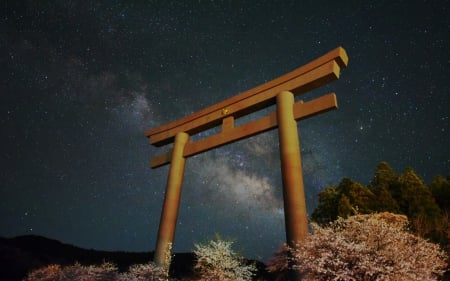 Torii Gate - gate, japan, nature, scenery, night, stars, torii, sky