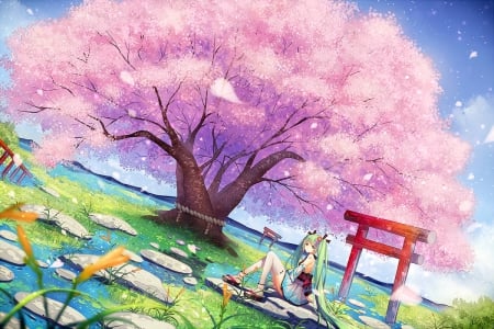 Blossom Every Day - nice, beauty, female, anime girl, miku hatsune, cherry blossom, pretty, anime, sakura blossom, miku, tree, scene, hatsune miku, scenic, girl, lovely, hatsune, vocaloids, floral, sakura, vocaloid, pink, beautiful, blossom, shrine, scenery, sweet, flower