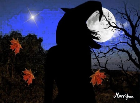 Halloween Witch - moon, star, pumpkins, seasonal, artwork, night, tree, leaves