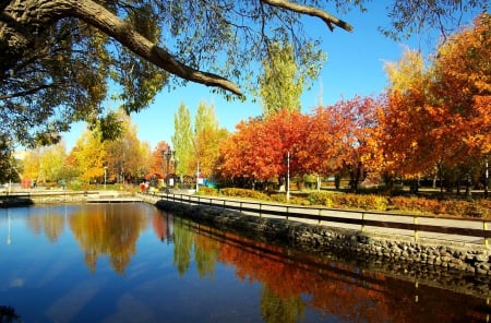 Reflected Colors - fall, water, reflection, leaves, trees, colors, autumn