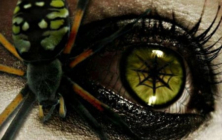 Halloween make-up - web, spider, black, make-up, green, halloween, eye