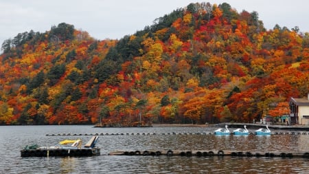 Japan, Aomori Prefecture, Towada National Park - lake, fall, pier, trees, boats, colors, autumn