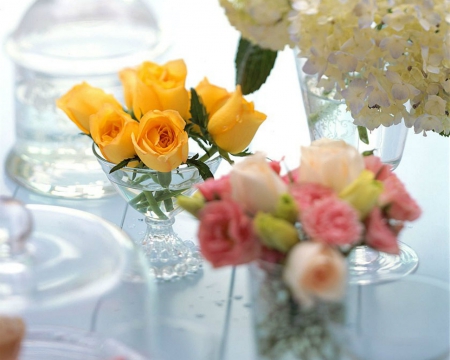 Glass of Flowers - flowers, glass, roses, petals