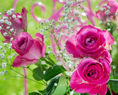 Pink roses - flowers, roses, petals, bloom