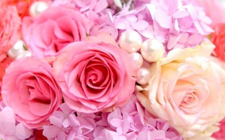 Beautiful Flowers - flowers, roses, petals, bloom