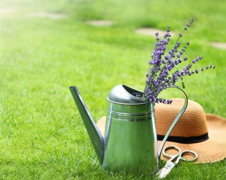 Watering Can and Hat - watering can, flowers, hat, grass