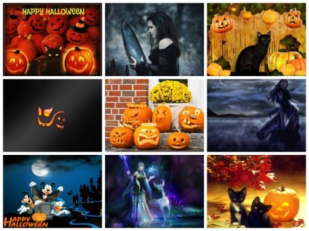 Halloween Spirit 2 - halloween, witch, autumn, pumpkin, october, cat, samhain