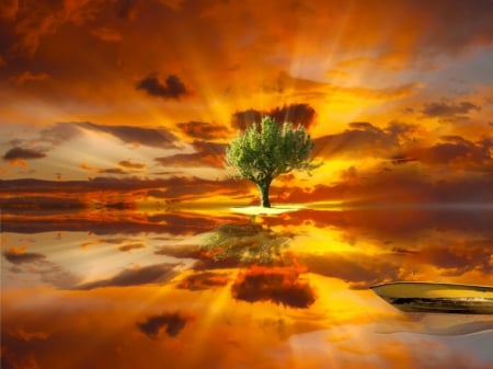 Amazing Tree - landscape, water, sunset, fire, nature, photoshop, clouds, tree, colors, boat