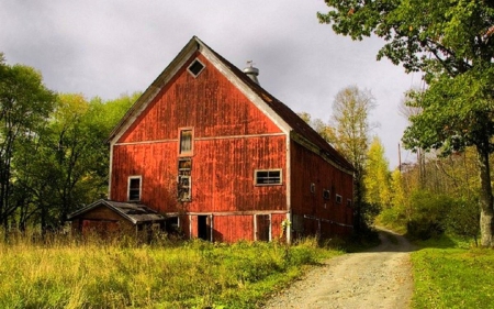 Country - red, barb, trees, road