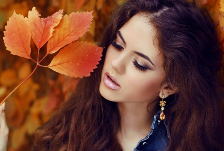 Autumn beauty - autumn beauty, picture, wallpaper, color, new