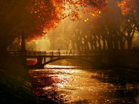 Autumn Morning - fall, trees, water, colors, bridge, leaves