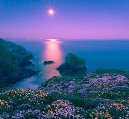 Beautiful evening - picture, color, wallpaper, new