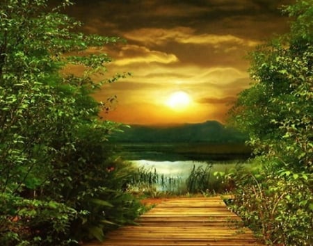 Path to the Lake - picture, lake, wallpaper, sunset, color, new