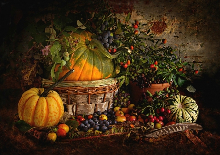 Autumn Still Life - autumn, pumpkin, basket, still life, berries, fruit, gourds, pumpkins, fall, grapes