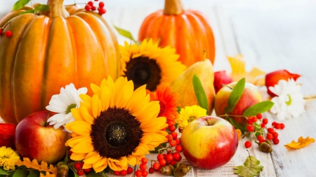 Autumn Harvest - sunflowers, Autumn, pumpkins, nuts, acorns, Fall, still life, leaves, flowers, pear, berries, apples, fruit