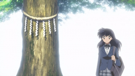 Big Tree - beauty, nice, female, anime girl, black hair, kagome, inuyasha, pretty, anime, tree, girl, long hair, bag, lovely, school uniform, beautiful, sweet