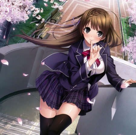 Up the Stair - pretty, anime, kawaii, female, blossom, maiden, long hair, uniform, staircase, nice, miniskirt, anime girl, skirt, beautiful, girl, beauty, cene, lovely, brown hair, sweet, flower, petals, school uniform, blouse, lady, cute, stair, adorable, floral