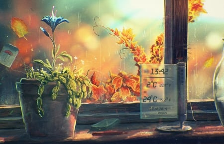 Nature Sweet Mood - flower, pot, rain, window, pad, still life, sun, numbers, wooden shelf, autumn leaves, pencil, trees