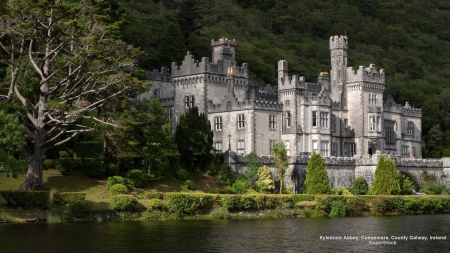 Kylemoor Abbey in Ireland - trees, ireland, architecture, castles