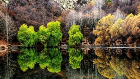 Crystal Lake - nature, crystal, lake, trees, reflection, water