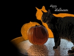 Halloween Cat