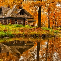 Hut in autumn forest