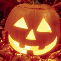 Pumpkin on leaves