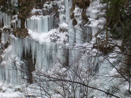 Frozen Waterfall - frozen, mountain, trees, waterfall