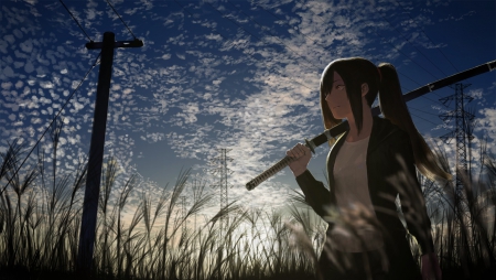 Way Back - anime, scenery, walking, evening, scene, guy, grass, light, walk, long hair, boy, male, shining, katana, field, nice, sky, sword, lovely, sweet, blade, glow, black hair, cloud, weed