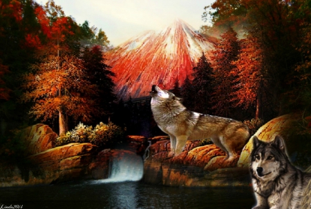 Wolf Canyon - Trees, Autumn, Waterfall, Mountain, wolves