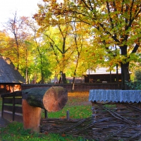 Autumn Village Museum