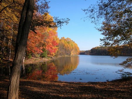 Fall season on the Lake - lake, nature, fall season, autumn