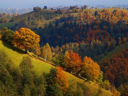 Romania Toamna - octombrie, culorile, pamantului, toamna