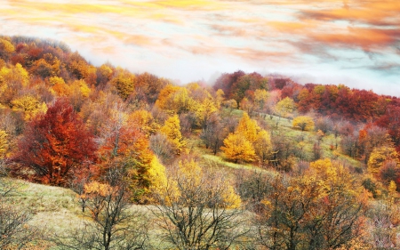 Autumn Morning - Other & Nature Background Wallpapers on Desktop Nexus ...