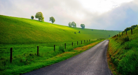 Landscape - path, trees, road, grass, sky