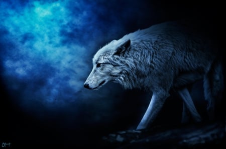 lone wolf - canislupus, wallpaper, black, wolves, white, wolf, wisdom, timber, saying