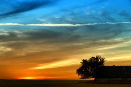 Sunset - tree, sunset, landscape, clouds