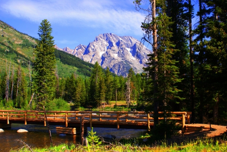 â•°âœ¿âœ¿â•®â•°âœ¿âœ¿â•®â•°âœ¿âœ¿â•® - forest, nature, mountain, river