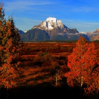 * Grand Teton National Park-WYOMING *
